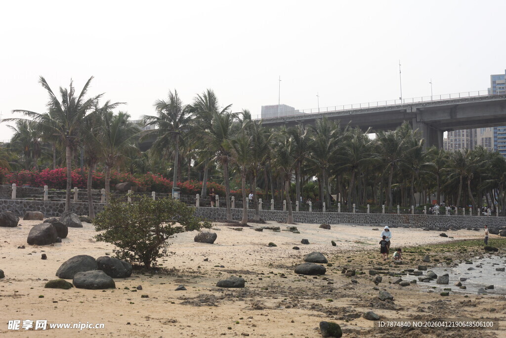 湛江城市岸边的沙石与绿植景观