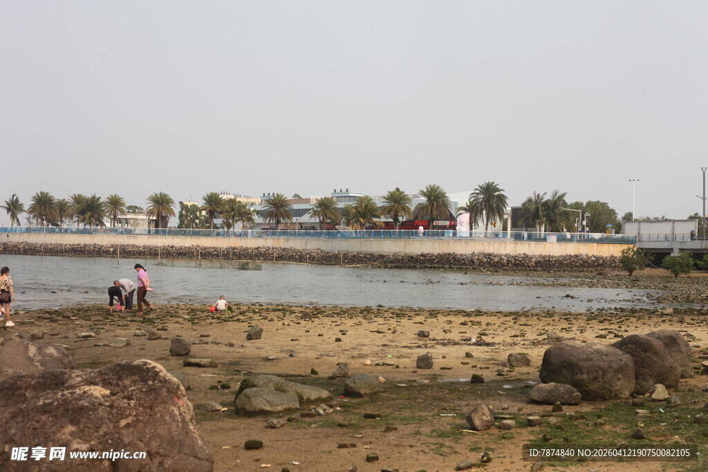 湛江海边休闲场景
