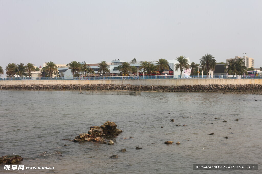 湛江海边礁石与岸边树木景象