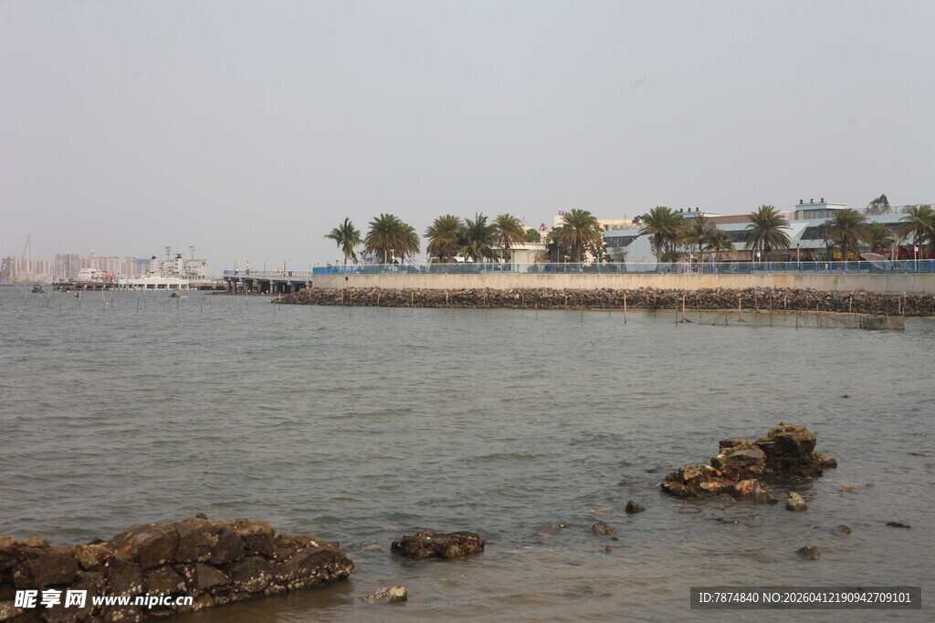 湛江海滨风光 岸边绿树与礁石