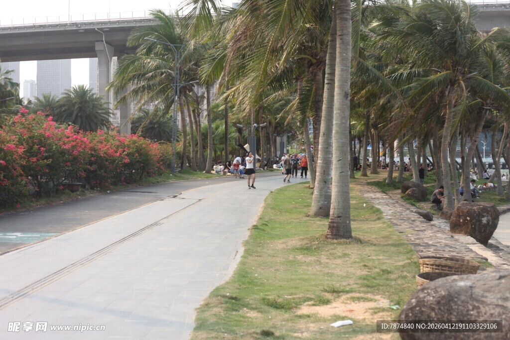 湛江城市河畔林荫步道风景