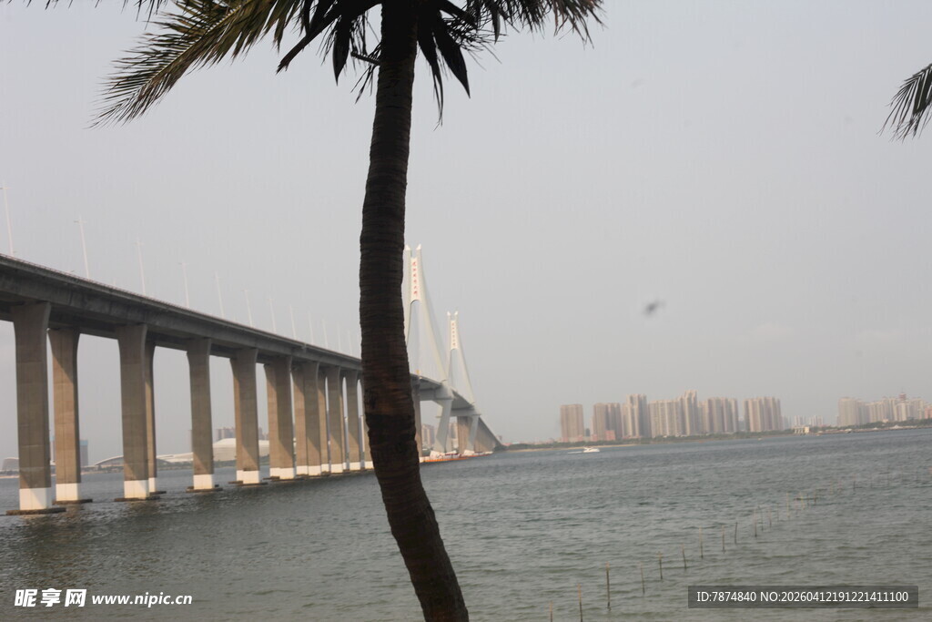 湛江海上长桥与岸边棕榈树