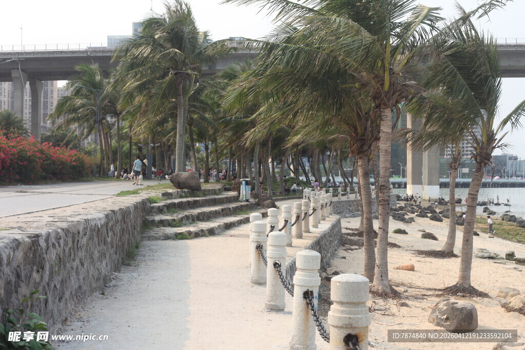 湛江海滨椰林步道美景