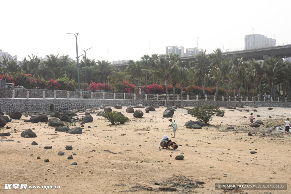 湛江沙滩上散落的众多石头