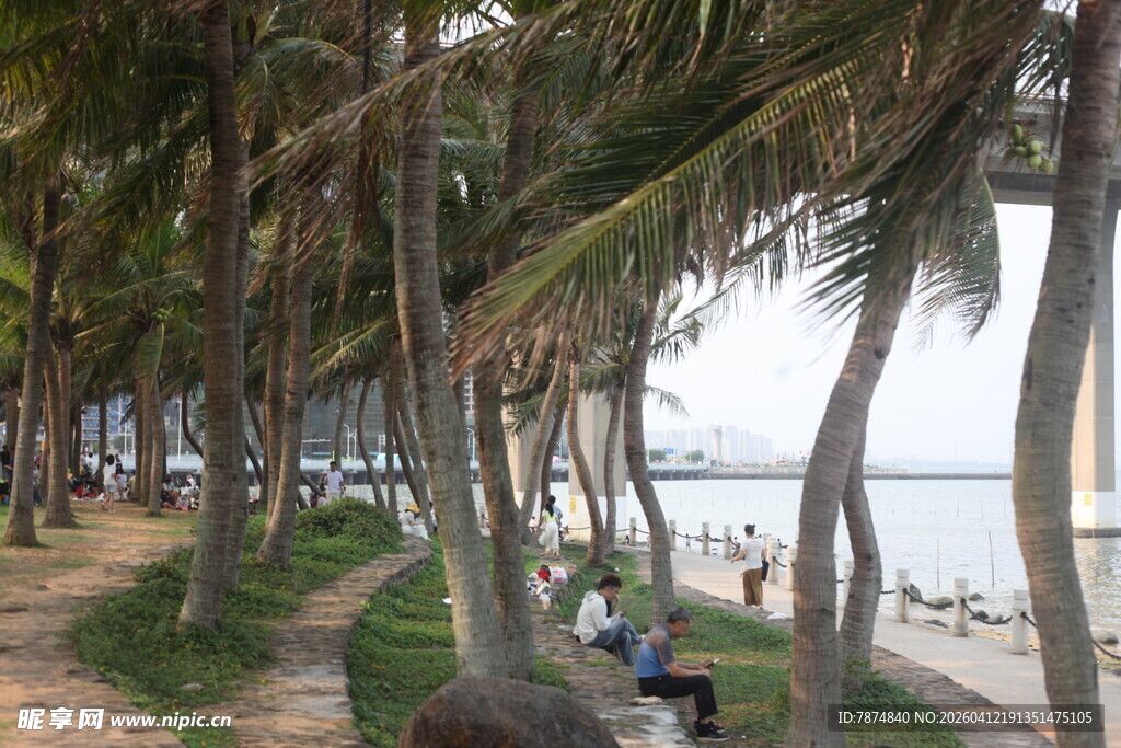 湛江海滨椰林旁的休闲好去处