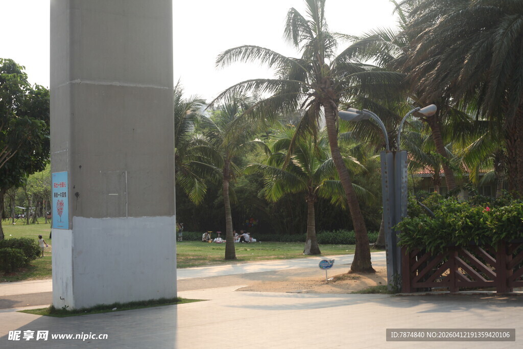 湛江户外林荫下的休闲场景