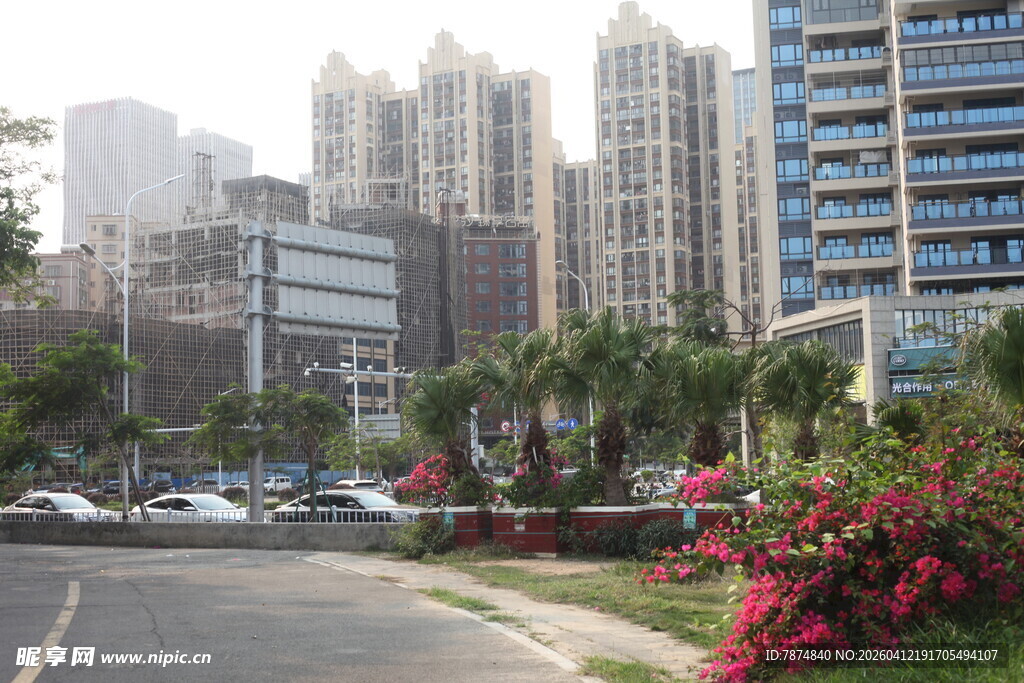 湛江城市道路旁的高楼与花卉
