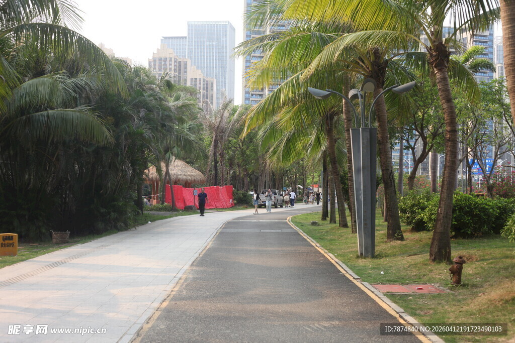 湛江城市林荫步道景观