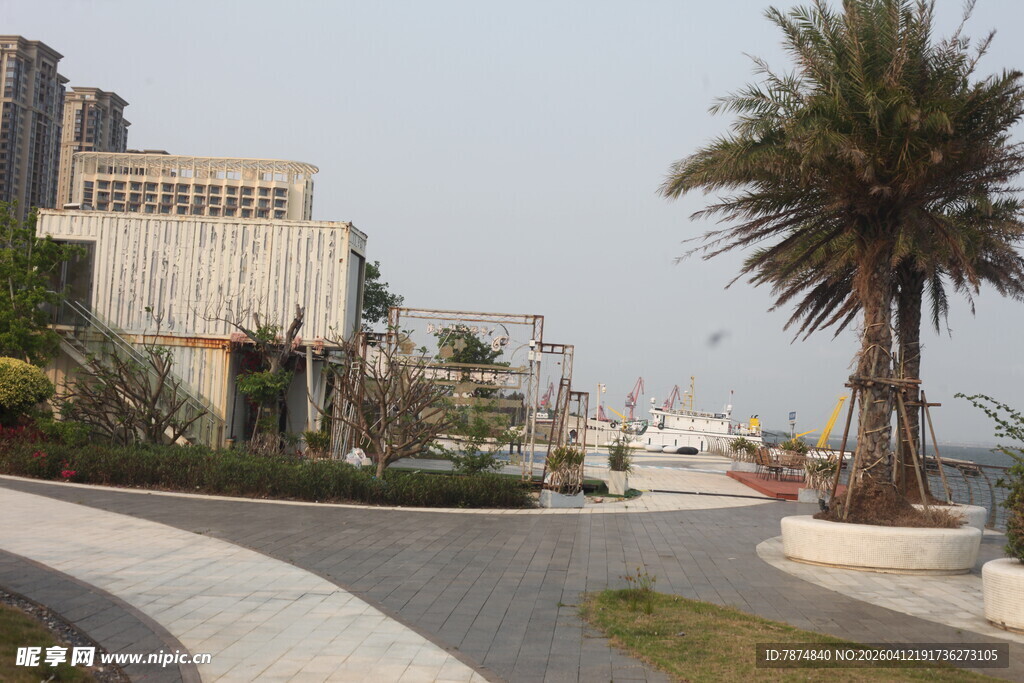 湛江海滨道路旁的建筑与棕榈树