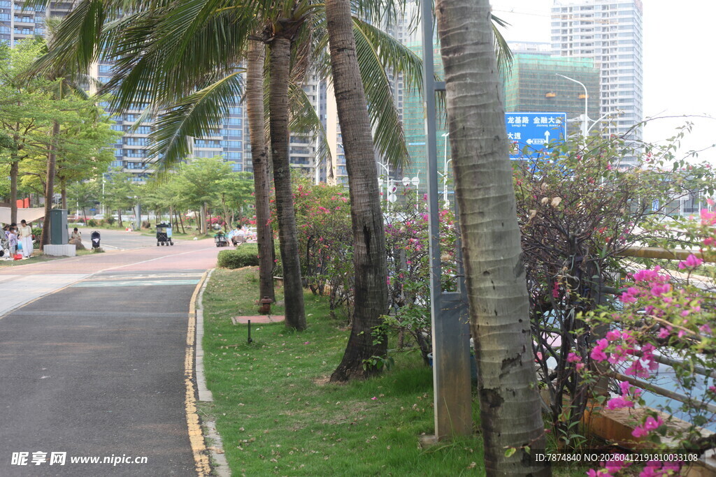 湛江城市街道旁的绿植景观