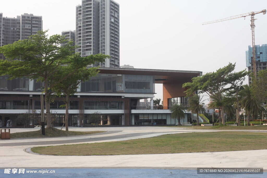 湛江城市中的现代建筑与绿化