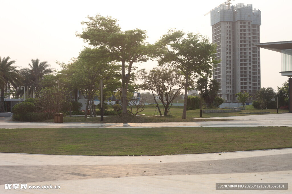 湛江城市中的绿植与高楼景观