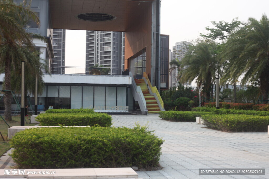 湛江现代城市景观中的绿植广场