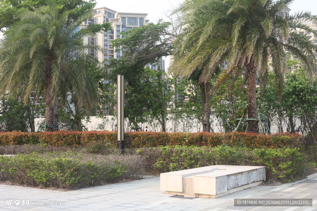 湛江城市中的绿植景观