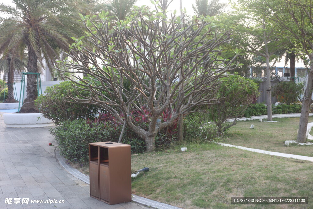 湛江户外园林景观一角