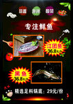 鲜鱼促销  精选食材25元份