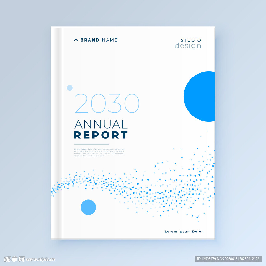 2030年度报告封面设计