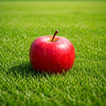 草地上的红苹果