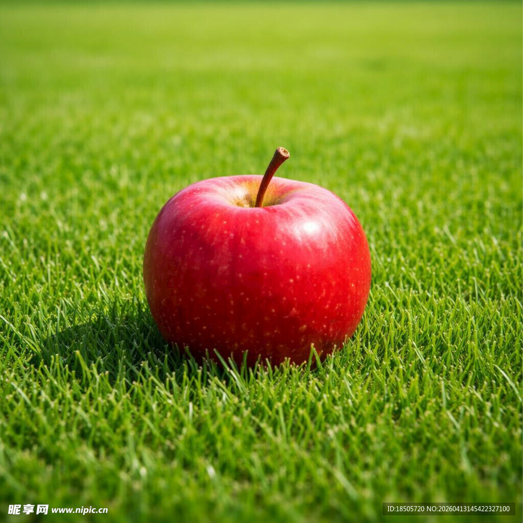 草地上的红苹果