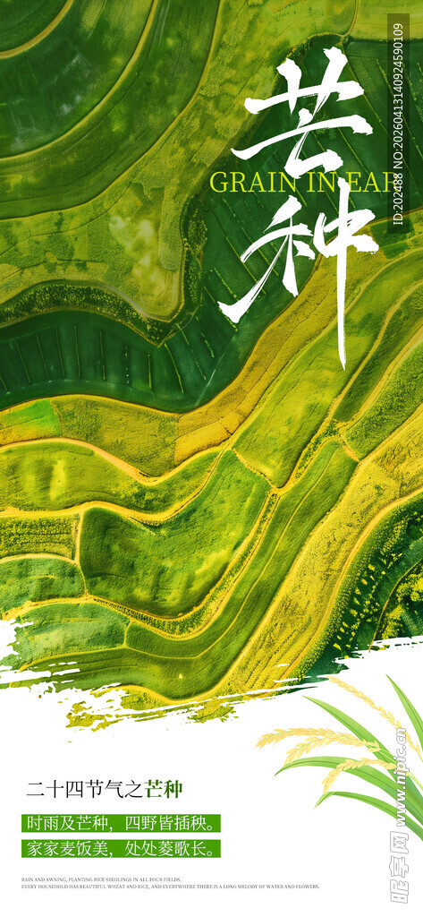 芒种农田绿色简约海报