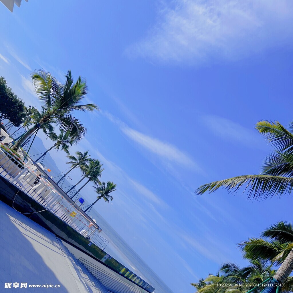 海滨风光 蓝天椰树美景