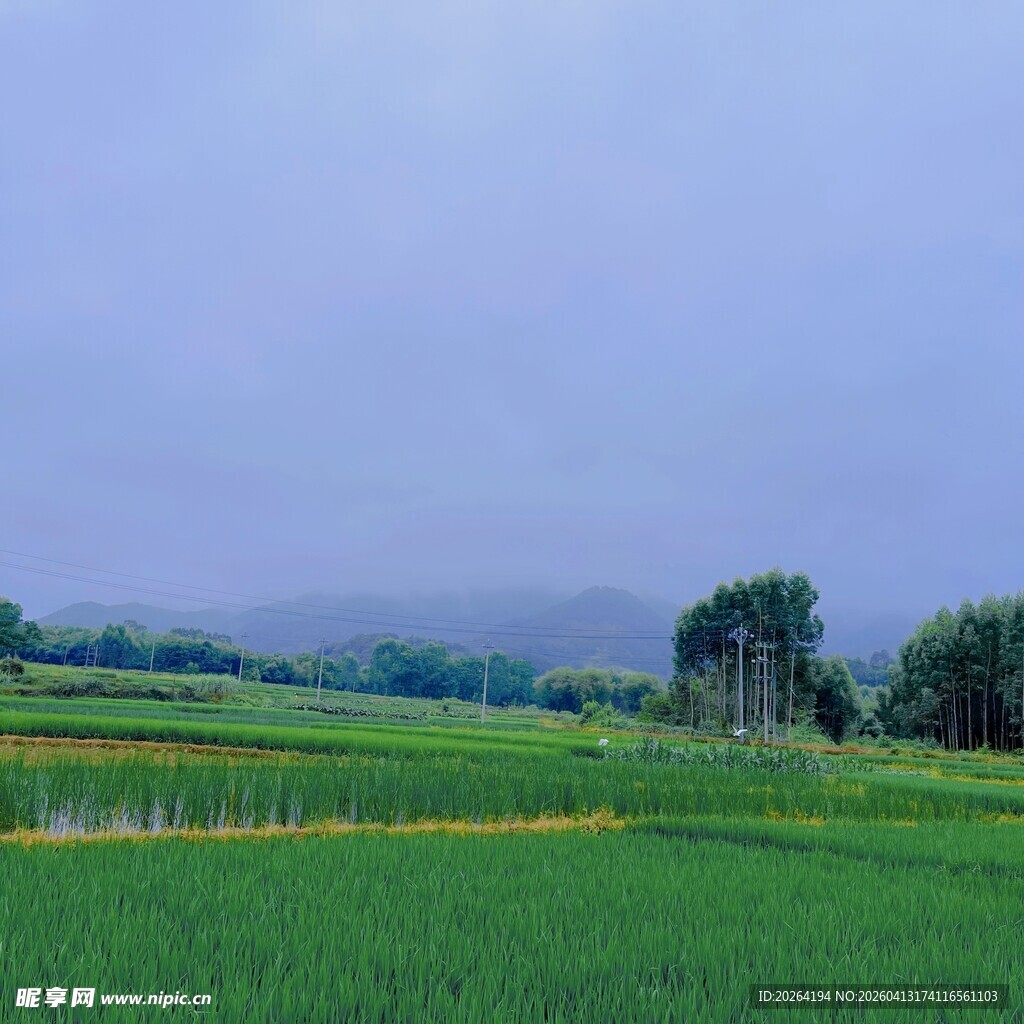 田园风光 绿意盎然的田野