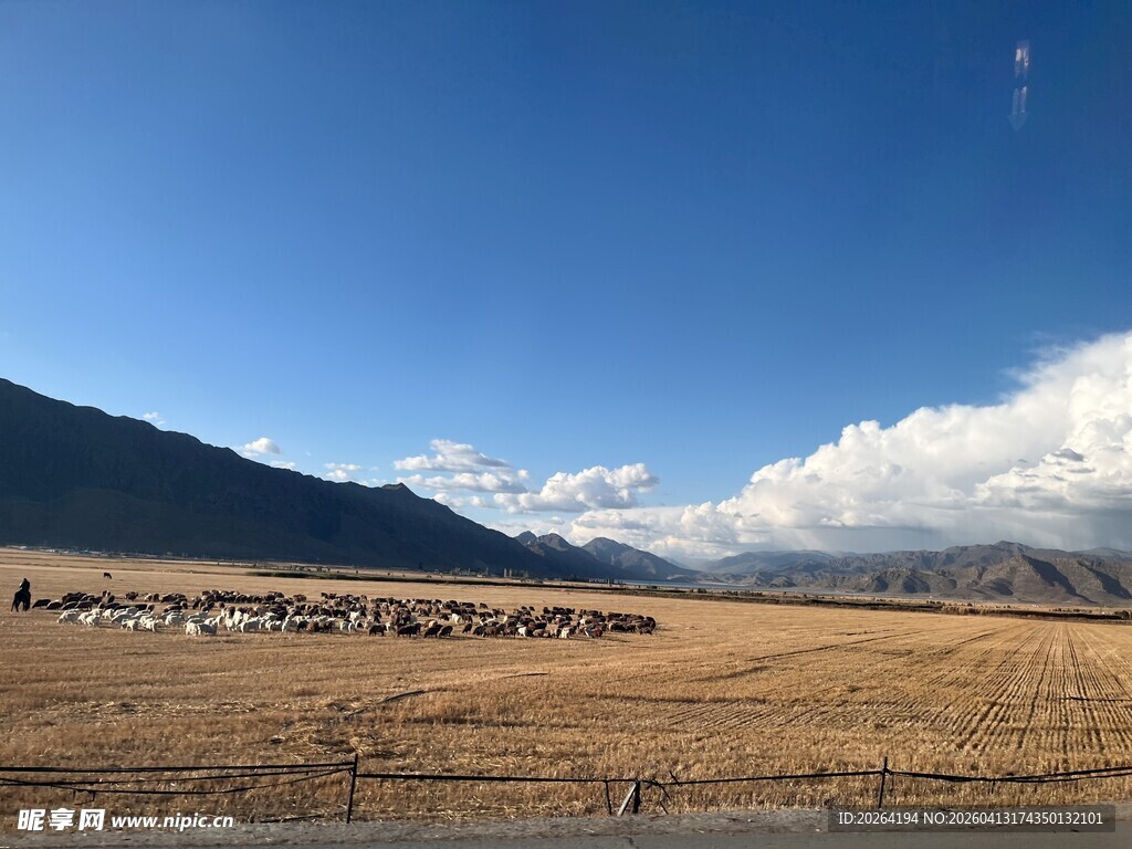 广袤原野的壮丽风光