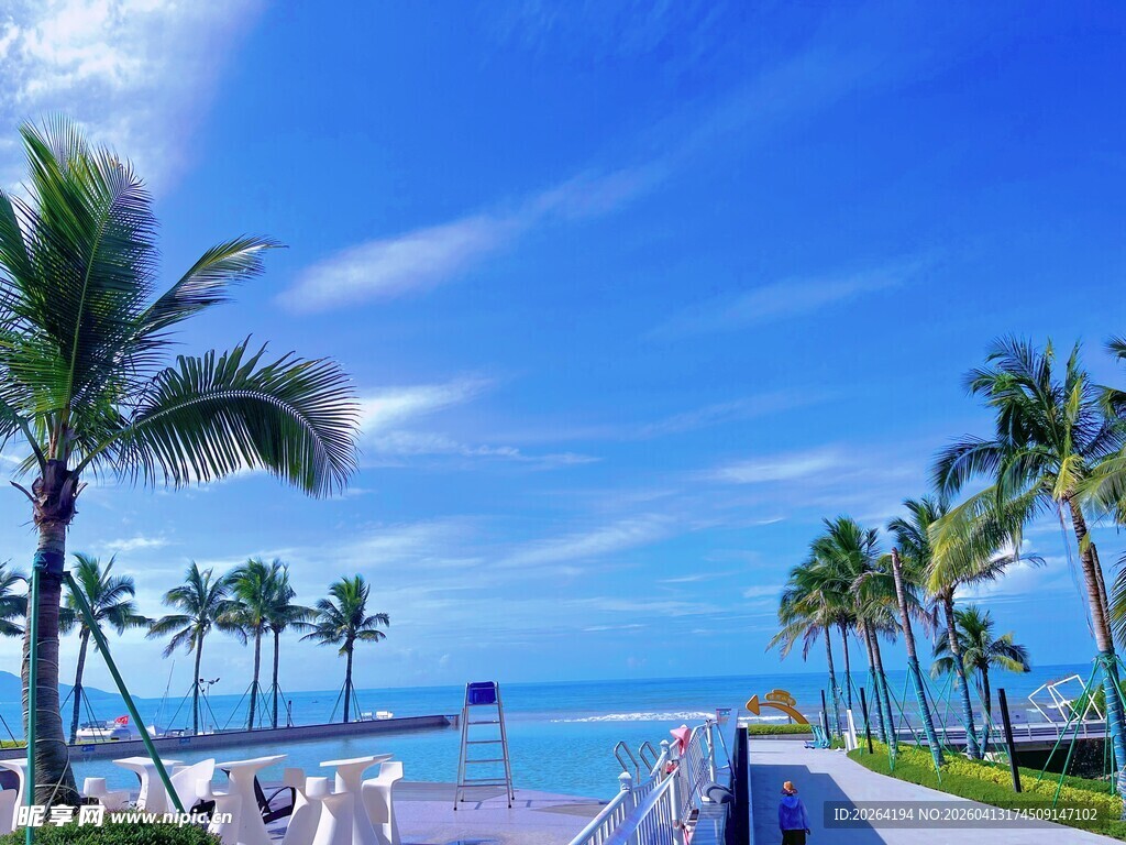 海滨泳池畔的椰树美景