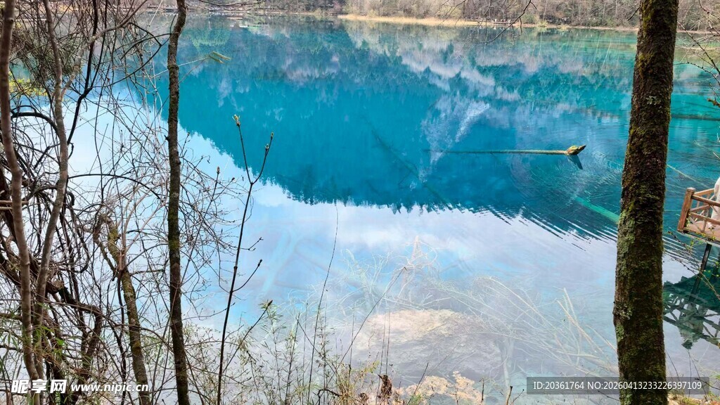冬日蓝湖旁的萧瑟树林