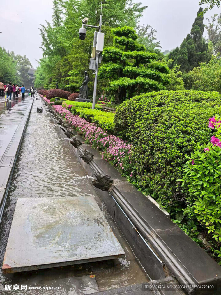 城市景观中的绿植与水景