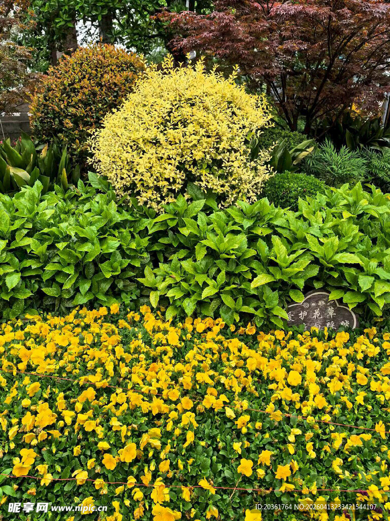 多彩花卉绿植景观