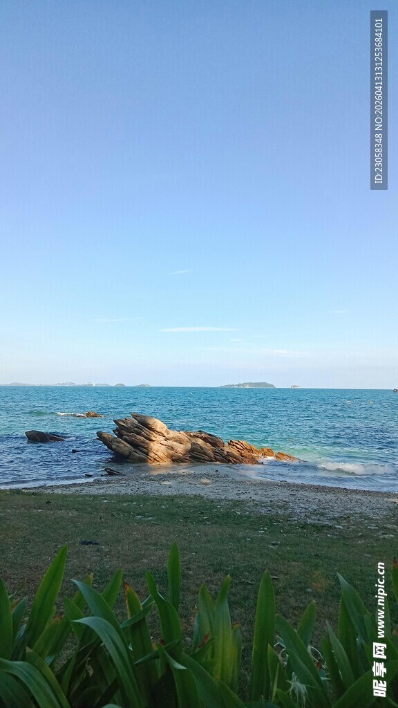 海边草地与礁石美景