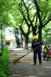 环卫工人清扫林荫道