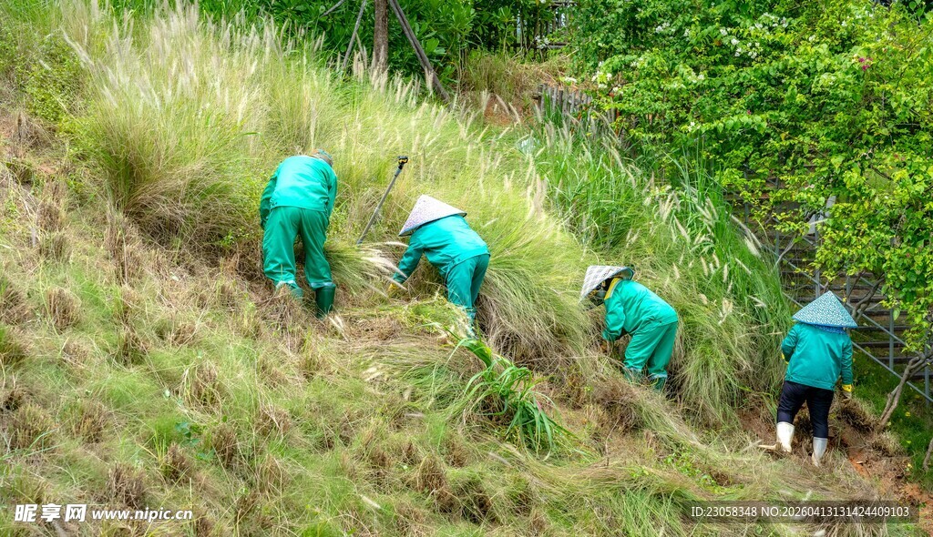 志愿者山坡除草行动