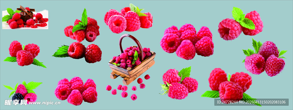 树莓缤纷水果插画元素集合