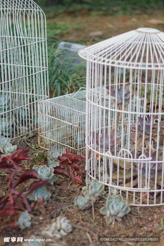 白色鸟笼与地面绿植花卉