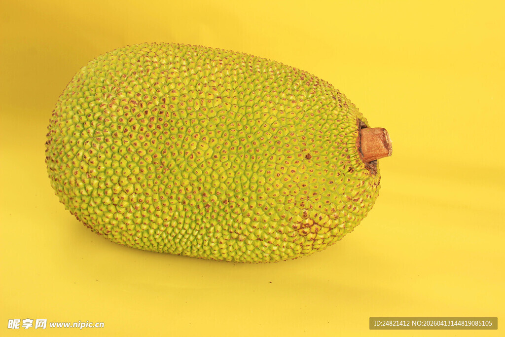 黄色背景下的完整菠萝蜜