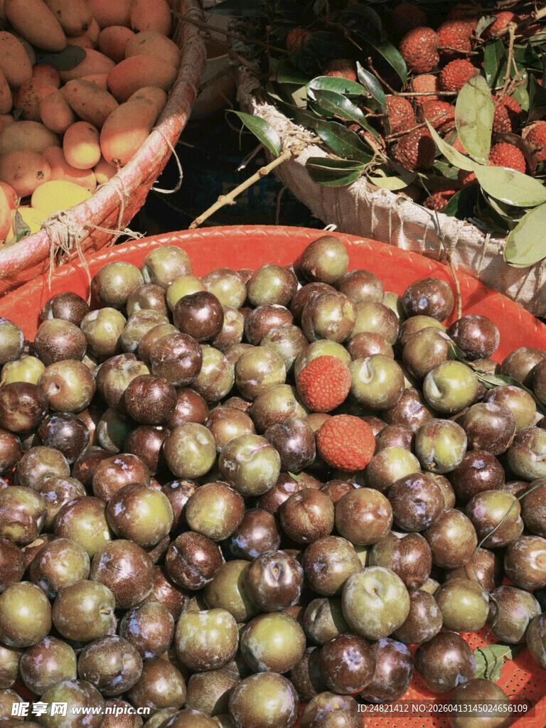 新鲜多彩果实待采摘