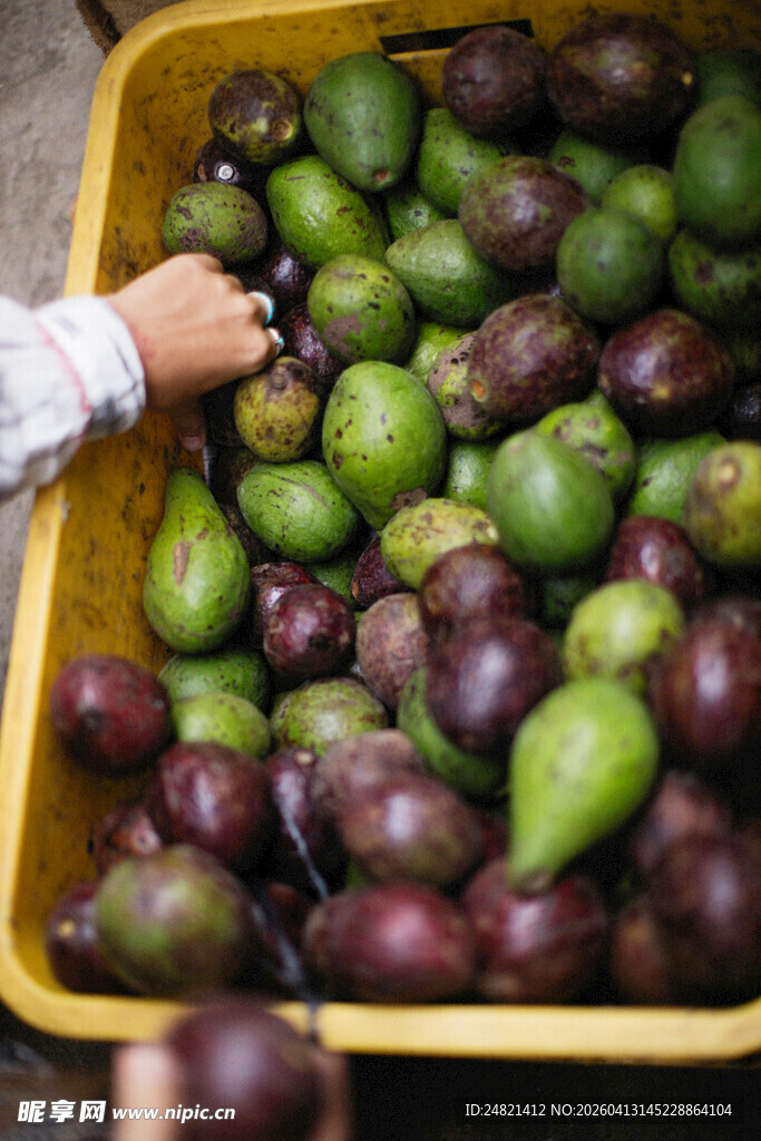 手探果筐中的多彩水果