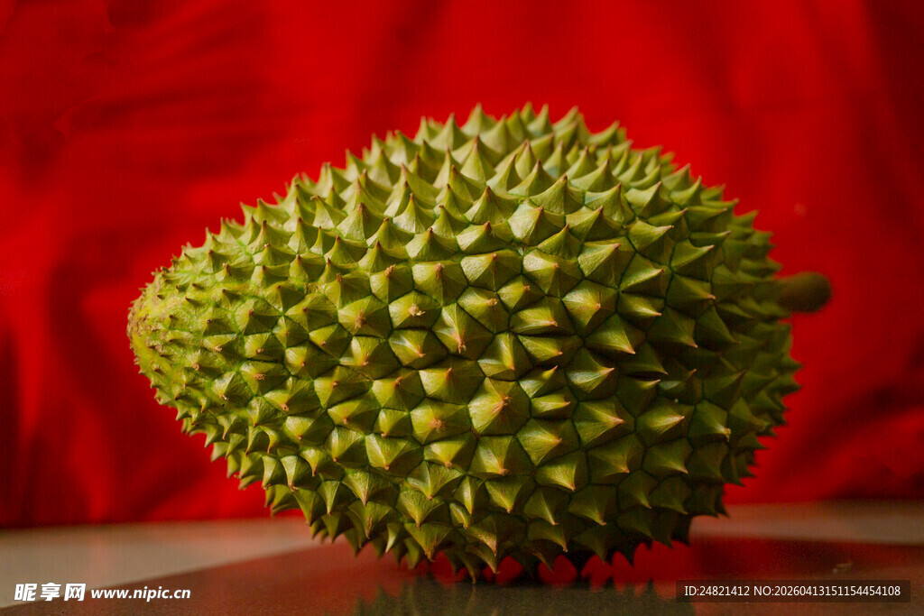 红背景上的新鲜榴莲