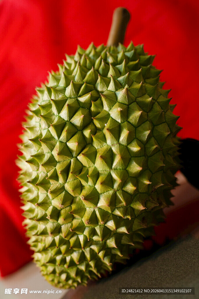 新鲜带刺的榴莲