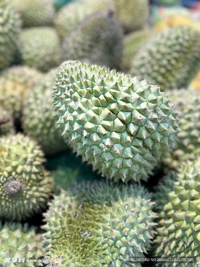 一堆新鲜的榴莲果实