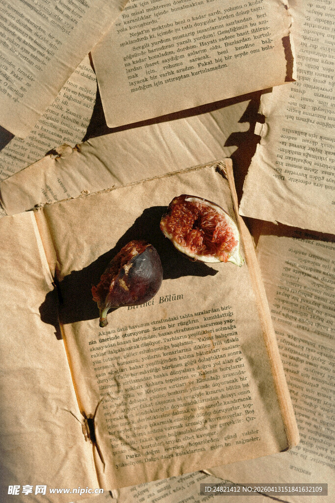 古籍上的复古羽毛笔