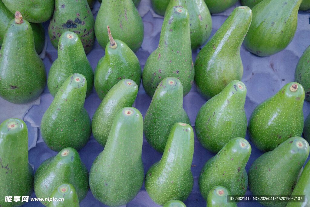 整齐排列的新鲜青梨