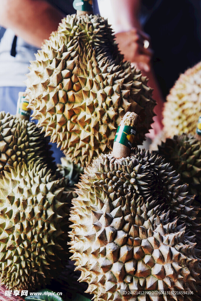 新鲜饱满的榴莲堆叠