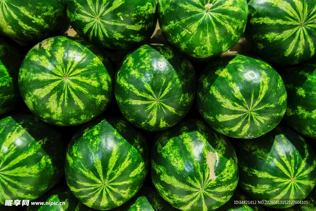 整齐排列的青绿西瓜