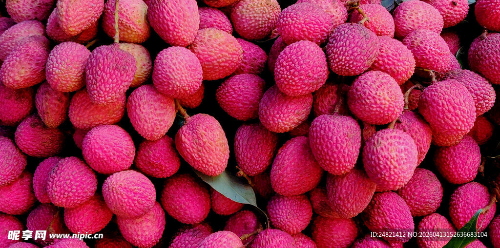 饱满荔枝堆成诱人景象
