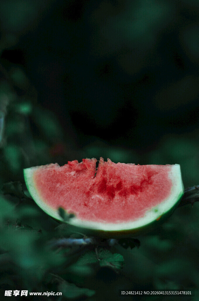 鲜红多汁的美味西瓜切片