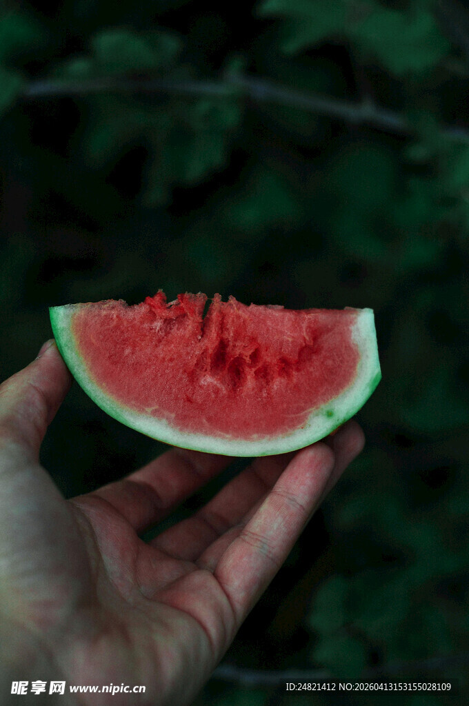 手捧鲜切西瓜片