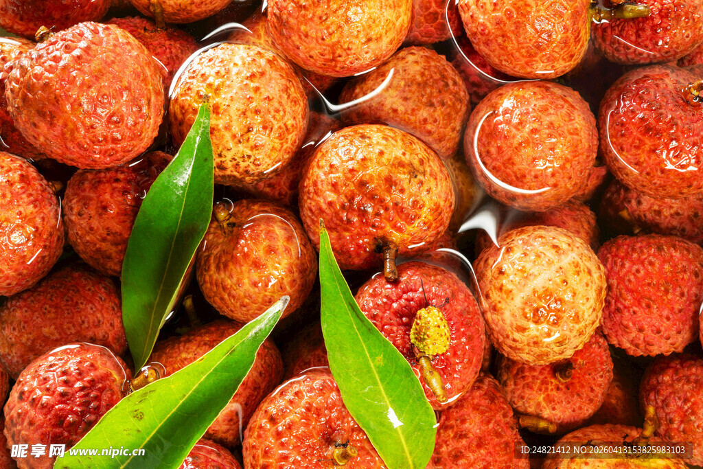 新鲜饱满的荔枝果实